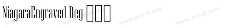 NiagaraEngraved Reg字体转换